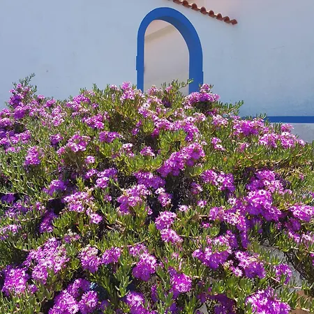 Casa Luciana Dom wakacyjny Ponta do Pargo