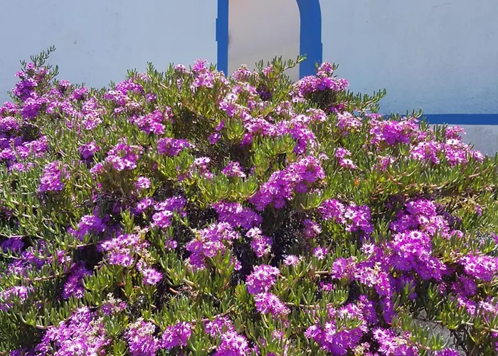 Casa Luciana Dom wakacyjny Ponta do Pargo